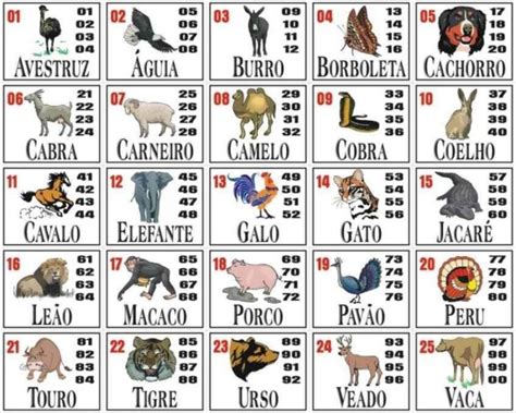 puxada da dona maria|Estratégias e Dicas para Jogar no Jogo do Bicho.